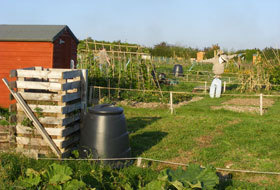 Cd Allotments Now Established