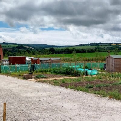 Charminster Farm Allotments June 24