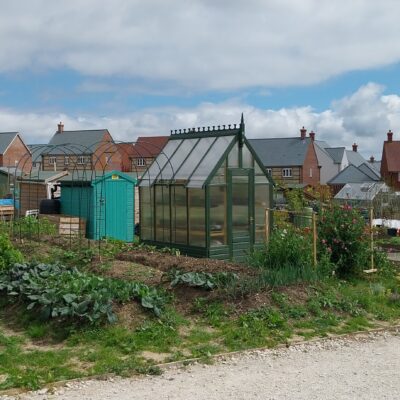 Charminster Farm Allotments June 23